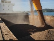 Veinte nuevas empresas obtienen la certificación de sostenibilidad del pélet industrial