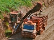 La generación con biomasa en Brasil supera la de una represa gigante