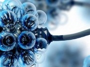 La biomasa busca mañana "Oportunidades locales de negocio" en Extremadura