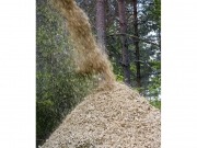 Los 24 mandamientos de la sostenibilidad de la bioenerg&iacute;a