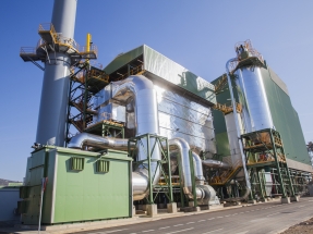 Miteco: “La biomasa puede estar presente en la subasta de megavatios sin tecnología asociada”