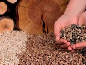 Y al fin llegó la exigencia de sostenibilidad