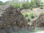 Asturias presenta una estrategia para cubrir el 6% de la energ&iacute;a con biomasa en 2012