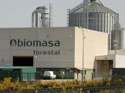 Biomasa Forestal: desde Galicia con calor