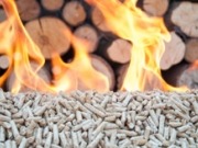 Navarra incrementa en un 23% el uso de biomasa forestal para calefacción