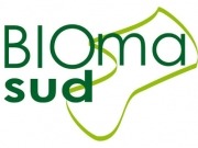 ¿Buscas Biomasa? Ahora es más fácil con Biomasud