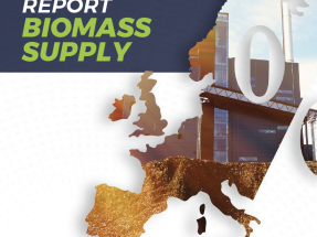 El sector forestal cubre el setenta por ciento del suministro de biomasa para energía en la UE