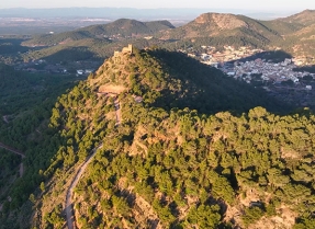 Valencia refuerza su lucha contra los incendios forestales con el proyecto BioValoriza