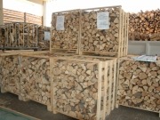 Un nuevo centro para revitalizar el comercio de biomasa en Extremadura