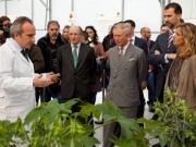 Los pr&iacute;ncipes se acercan a las algas