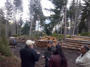 España colabora en dotar de mayor eficiencia a la biomasa chilena