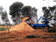 La patronal forestal pide un plan de estimulación para el sector de la bioenergía