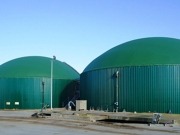 El Gobierno abre la puerta del régimen especial a 37 MW de biomasa y biogás