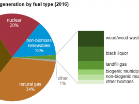 Los combustibles derivados de biomasa y residuos contribuyeron con el 2% a la generación eléctrica en 2016