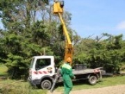 Castilla y León actualiza en Coterram sus números de la biomasa