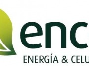 Ence: máxima potencia en Mérida y paralización en Alcántara