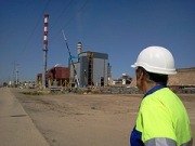 Ence, protagonista de la biomasa española