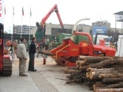 Gas&oacute;leo: 9; Biomasa: 135. Espectacular goleada de empleos a domicilio