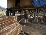 La producción mundial de pélets sigue animando el mercado de la madera