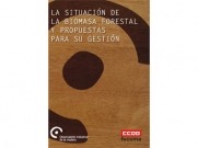 Gestión de los recursos, una herramienta para evitar fricciones entre la industria maderera y la bioenergía