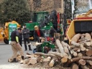 Feria forestal de Cataluña hacia Europa