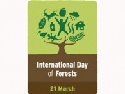 La biomasa está presente en el Día Internacional de los Bosques