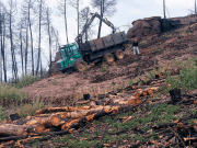 La bioenergía puede (y debe) contribuir a la reducción de incendios