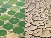 La gesti&oacute;n del agua, clave del desarrollo sostenible de la bioenerg&iacute;a