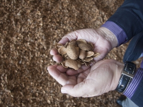 Huesos de aceitunas y cáscaras de almendras para calderas de biomasa: mejor certificados