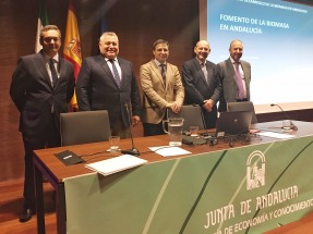 Más de la tercera parte de la energía renovable andaluza es biomasa