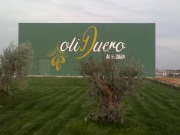 Matarromera apuesta por la biomasa para producir su primer aceite ecológico