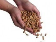 Calentarse con pellets es un sesenta por ciento más barato que hacerlo con gasóleo