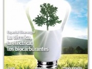 En España hay más de cuarenta district heating con biomasa