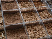 Hasta pronto Expobioenergía; hola Fira de Biomassa Forestal y Bióptima