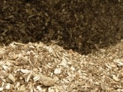 El 14 de enero de 2016 habrá subasta para biomasa y eólica