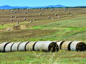 Los proyectos Retos-Colaboración reducen a la mitad el presupuesto para bioenergía