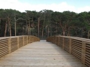 EmpleaVerde conecta la biomasa con el empleo