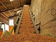 Interbiomasa suministrará biocombustibles a grandes consumidores de biomasa de toda España