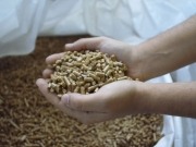 Agropellets que buscan calidad superior y pelets domésticos que la encuentran