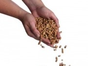 Espa&ntilde;a ganar&iacute;a 130 millones de euros al a&ntilde;o si retribuyera mejor la biomasa