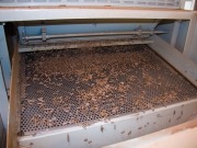 Valladolid será la capital mundial del pélet