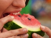 Ya se produce biomasa con residuos de calabacines y sand&iacute;as