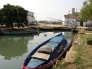 Llueven los proyectos de biomasa el&eacute;ctrica, algunos con pol&eacute;mica