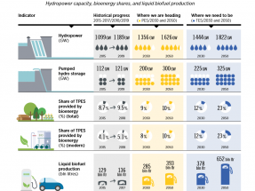 Irena otorga a la bioenergía un papel vital en la transición energética, con biocarburantes para décadas