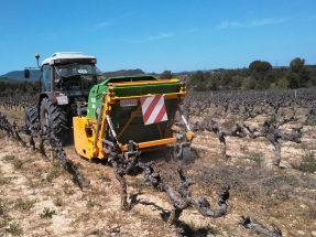 El Penedès, referente del vino y de la biomasa de la vid