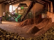 Grupo de innovación en la UE para la movilización sostenible de la biomasa forestal