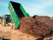 La uva, para el vino; el sarmiento, a la caldera