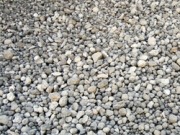 Greenpeace no traga con todas las biomasas