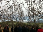 Proyecto europeo para sacarle mayor rendimiento a la biomasa forestal