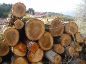 La UE quiere cero emisiones desde el sector forestal en 2030